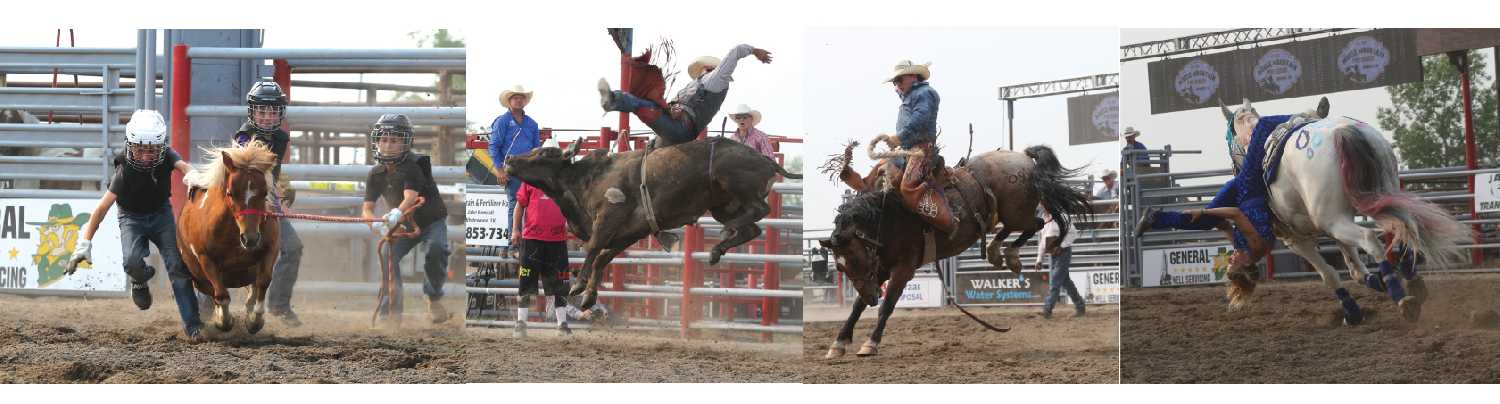 Some moments from last year’s Moose Mountain Pro Rodeo, including the wild pony scramble, bull riding, trick riders and saddle bronc.